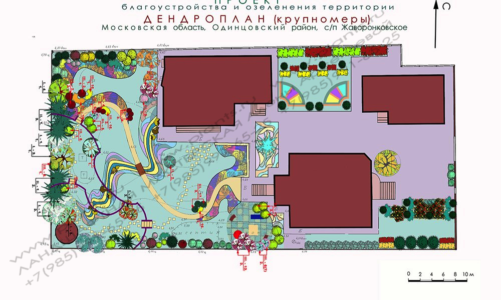 Проект участка - генплан и дендроплан